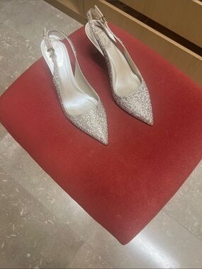 Rene Caovilla Crystal Pointed Slingback Pumps - Silver